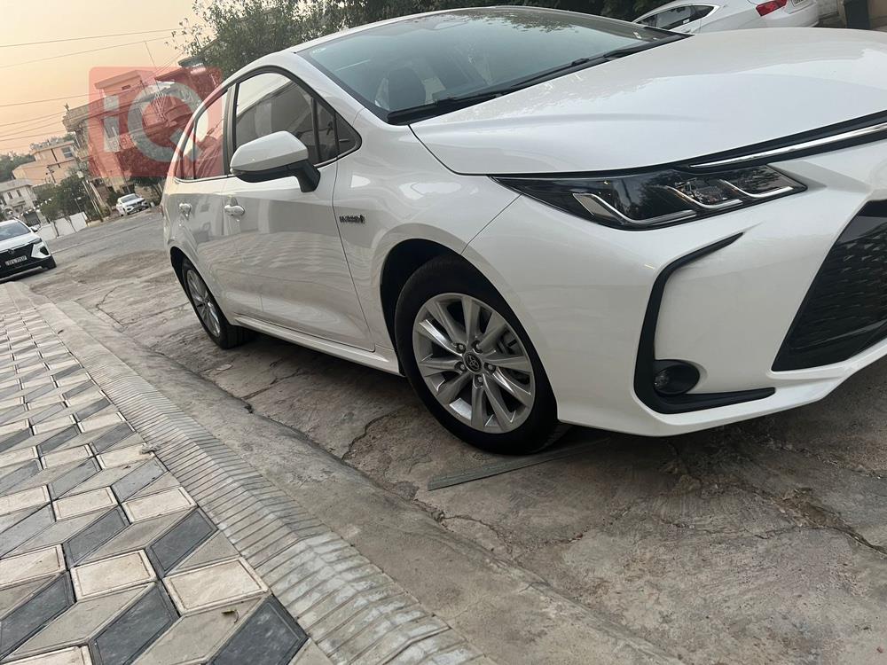 تويوتا كورولا